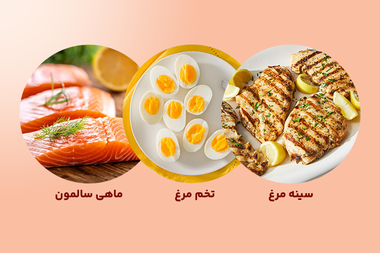 غذاهای پروتئین دار برای لاغری؛ سینه مرغ، ماهی سالمون و تخم مرغ